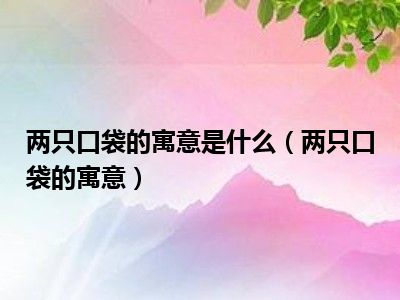 两只口袋的寓意是什么（两只口袋的寓意）