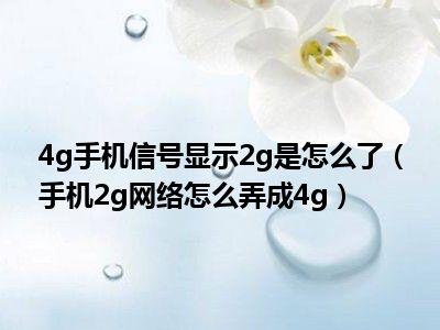 4g手机信号显示2g是怎么了（手机2g网络怎么弄成4g）