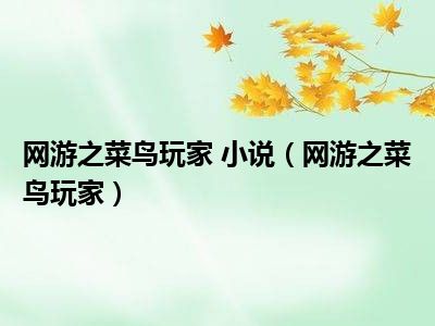 网游之菜鸟玩家 小说（网游之菜鸟玩家）