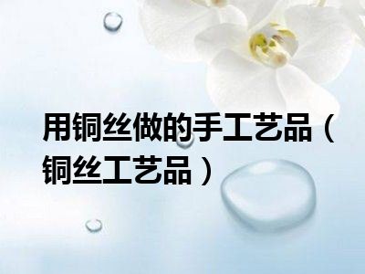 用铜丝做的手工艺品（铜丝工艺品）