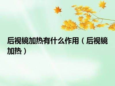 后视镜加热有什么作用（后视镜加热）