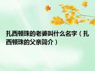 扎西顿珠的老婆叫什么名字（扎西顿珠的父亲简介）