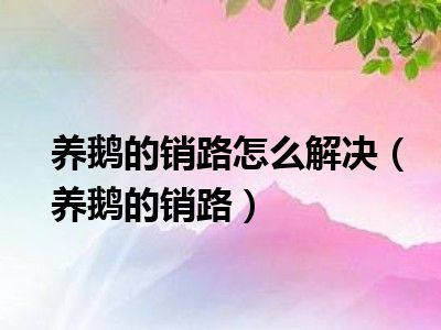 养鹅的销路怎么解决（养鹅的销路）