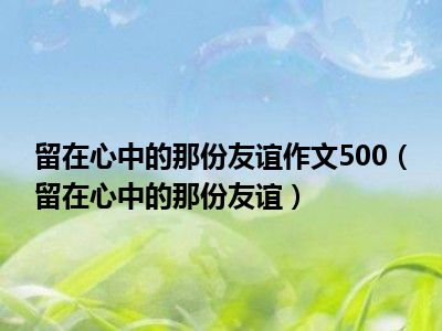 留在心中的那份友谊作文500（留在心中的那份友谊）