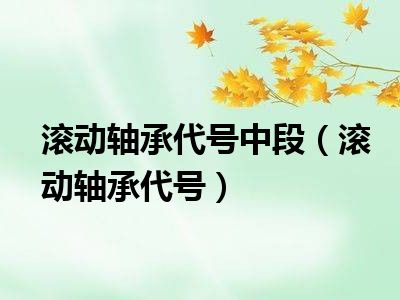 滚动轴承代号中段（滚动轴承代号）