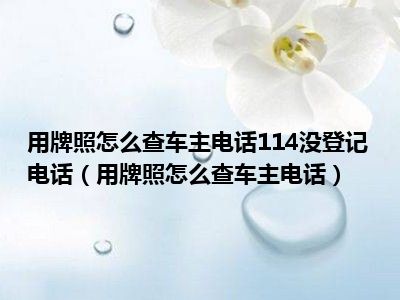 用牌照怎么查车主电话114没登记电话（用牌照怎么查车主电话）