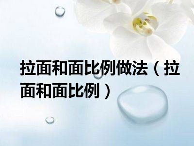 拉面和面比例做法（拉面和面比例）