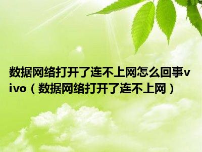 数据网络打开了连不上网怎么回事vivo（数据网络打开了连不上网）