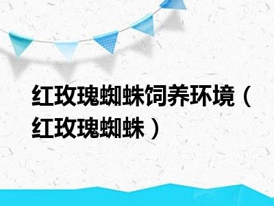 红玫瑰蜘蛛饲养环境（红玫瑰蜘蛛）