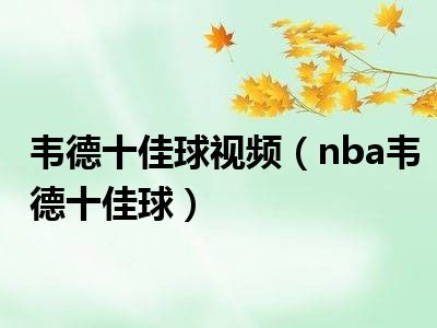 韦德十佳球视频（nba韦德十佳球）