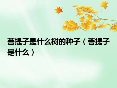 菩提子是什么树的种子（菩提子是什么）