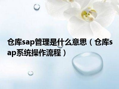 仓库sap管理是什么意思（仓库sap系统操作流程）