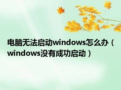 电脑无法启动windows怎么办（windows没有成功启动）