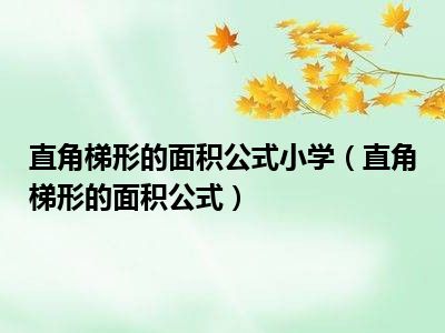 直角梯形的面积公式小学（直角梯形的面积公式）