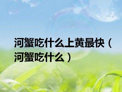 河蟹吃什么上黄最快（河蟹吃什么）