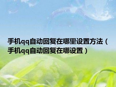 手机qq自动回复在哪里设置方法（手机qq自动回复在哪设置）