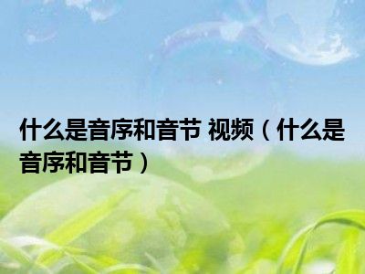 什么是音序和音节 视频（什么是音序和音节）