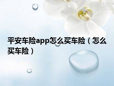 平安车险app怎么买车险（怎么买车险）