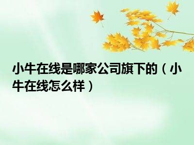 小牛在线是哪家公司旗下的（小牛在线怎么样）