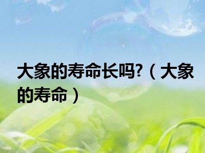 大象的寿命长吗?（大象的寿命）