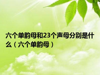 六个单韵母和23个声母分别是什么（六个单韵母）