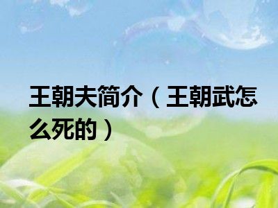 王朝夫简介（王朝武怎么死的）