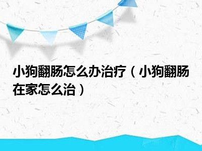 小狗翻肠怎么办治疗（小狗翻肠在家怎么治）