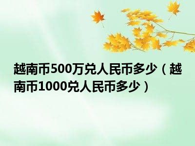 越南币500万兑人民币多少（越南币1000兑人民币多少）