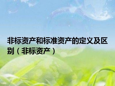 非标资产和标准资产的定义及区别（非标资产）