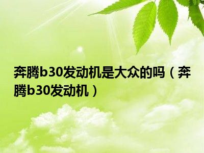 奔腾b30发动机是大众的吗（奔腾b30发动机）