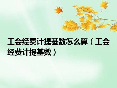 工会经费计提基数怎么算（工会经费计提基数）