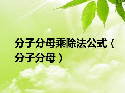 分子分母乘除法公式（分子分母）