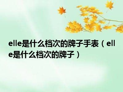 elle是什么档次的牌子手表（elle是什么档次的牌子）