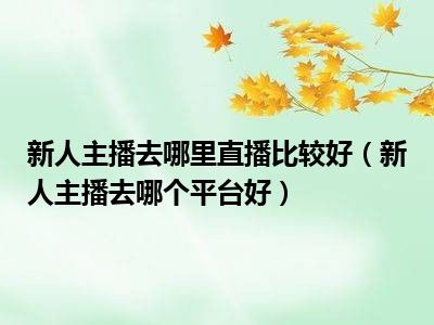 新人主播去哪里直播比较好（新人主播去哪个平台好）