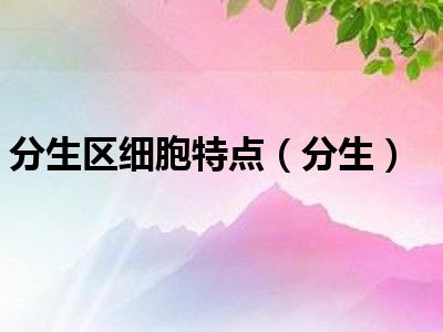 分生区细胞特点（分生）