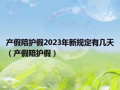 产假陪护假2023年新规定有几天（产假陪护假）