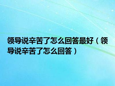 领导说辛苦了怎么回答最好（领导说辛苦了怎么回答）