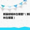 新疆胡杨林在哪里?（新疆胡杨林在哪里）