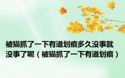 被猫抓了一下有道划痕多久没事就没事了呢（被猫抓了一下有道划痕）