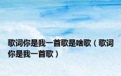 歌词你是我一首歌是啥歌（歌词你是我一首歌）