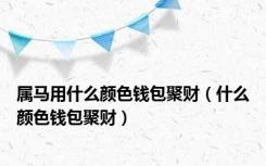 属马用什么颜色钱包聚财（什么颜色钱包聚财）