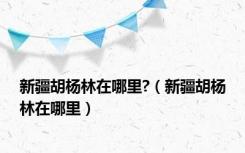 新疆胡杨林在哪里?（新疆胡杨林在哪里）