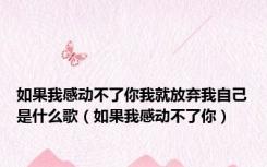 如果我感动不了你我就放弃我自己是什么歌（如果我感动不了你）