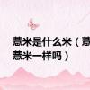 薏米是什么米（薏仁和薏米一样吗）