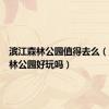 滨江森林公园值得去么（滨江森林公园好玩吗）
