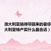澳大利亚值得带回来的奢侈品（澳大利亚特产买什么最合适）
