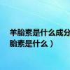 羊胎素是什么成分（羊胎素是什么）