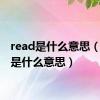 read是什么意思（tired是什么意思）