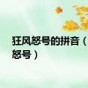 狂风怒号的拼音（狂风怒号）