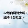 12级台风算大吗（12级台风什么概念）